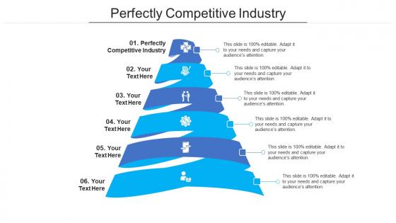 Perfectly competitive industry ppt powerpoint presentation styles rules cpb
