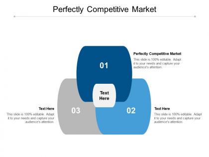 Perfectly competitive market ppt powerpoint presentation styles topics cpb