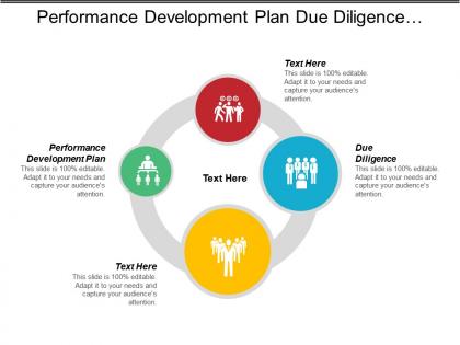 Performance development plan due diligence market research technology