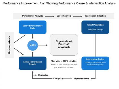 Performance improvement plan showing performance cause and intervention analysis