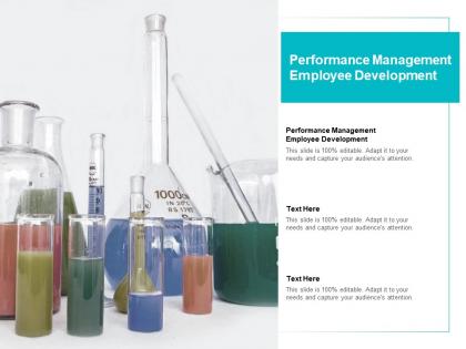 Performance management employee development ppt powerpoint presentation gallery master slide cpb