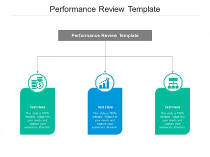 Performance review template ppt powerpoint presentation portfolio brochure cpb