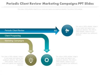 Periodic client review marketing campaigns ppt slides