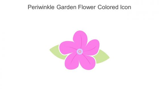Periwinkle Garden Flower Colored Icon In Powerpoint Pptx Png And Editable Eps Format