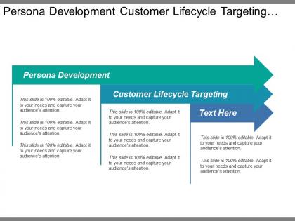Persona development customer lifecycle targeting online value proposition