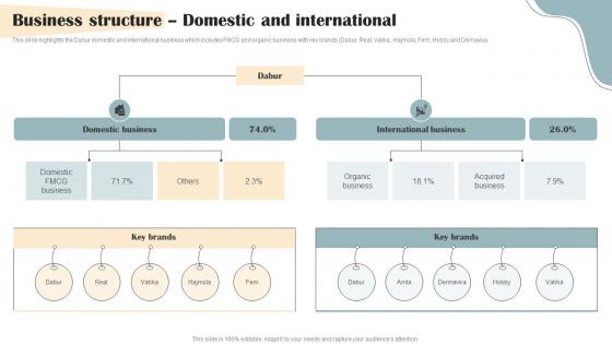 Personal Care Products Company Profile Business Structure Domestic And International CP SS V