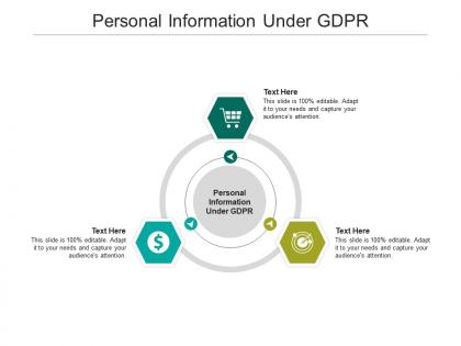 Personal information under gdpr ppt powerpoint presentation professional designs download cpb