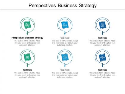 Perspectives business strategy ppt powerpoint presentation show rules cpb