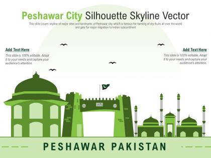 Peshawar city silhouette skyline vector powerpoint presentation ppt template