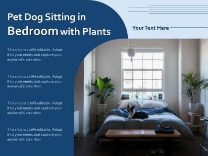 Pet dog sitting in bedroom with plants