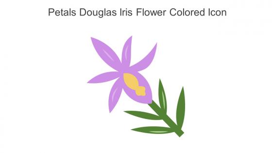 Petals Douglas Iris Flower Colored Icon In Powerpoint Pptx Png And Editable Eps Format