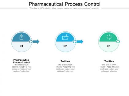 Pharmaceutical process control ppt powerpoint presentation infographic template cpb