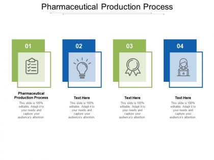 Pharmaceutical production process ppt powerpoint presentation infographic template introduction cpb