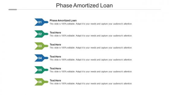 Phase amortized loan ppt powerpoint presentation slides summary cpb