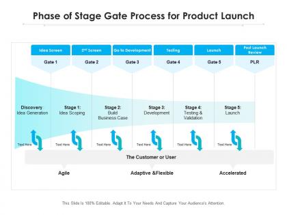 Phase of stage gate process for product launch