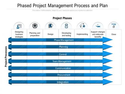 Phased project management process and plan