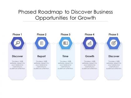 Phased roadmap to discover business opportunities for growth