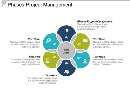 Phases project management ppt powerpoint presentation file designs cpb