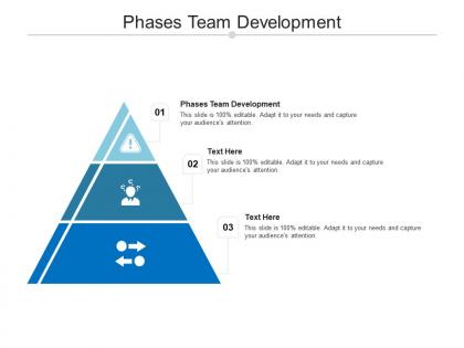 Phases team development ppt powerpoint presentation slides graphics download cpb