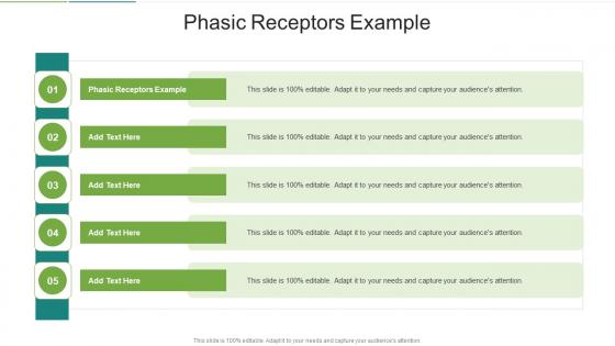 Phasic Receptors Example In Powerpoint And Google Slides Cpb