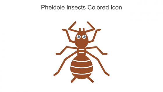 Pheidole Insects Colored Icon In Powerpoint Pptx Png And Editable Eps Format