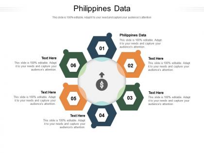 Philippines data ppt powerpoint presentation infographics layout cpb