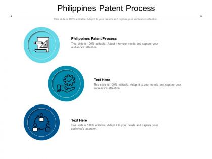 Philippines patent process ppt powerpoint presentation visual aids summary cpb