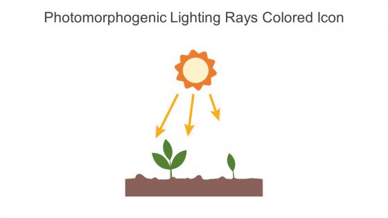 Photomorphogenic Lighting Rays Colored Icon In Powerpoint Pptx Png And Editable Eps Format