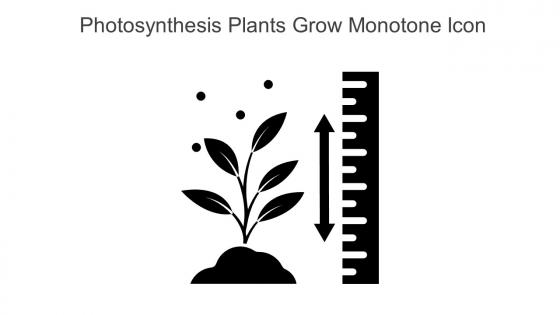 Photosynthesis Plants Grow Monotone Icon In Powerpoint Pptx Png And Editable Eps Format