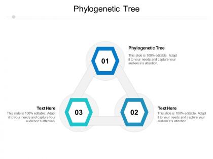 Phylogenetic tree ppt powerpoint presentation ideas guidelines cpb