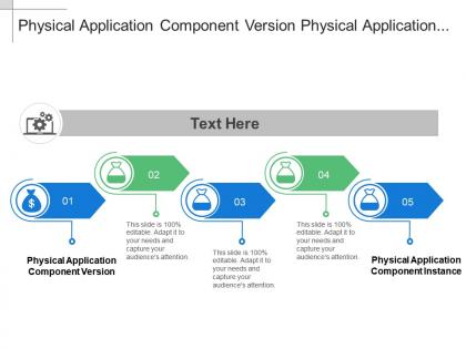 Physical application component version physical application component instance