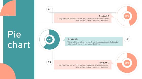 Pie Chart Customer Segmentation Targeting And Positioning Guide For Effective Marketing