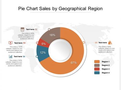 Pie chart sales by geographical region