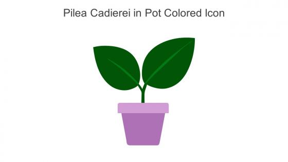 Pilea Cadierei In Pot Colored Icon In Powerpoint Pptx Png And Editable Eps Format
