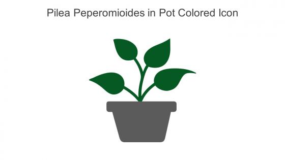 Pilea Peperomioides In Pot Colored Icon In Powerpoint Pptx Png And Editable Eps Format