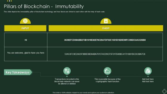 Pillars Of Blockchain immutability Cryptographic Ledger