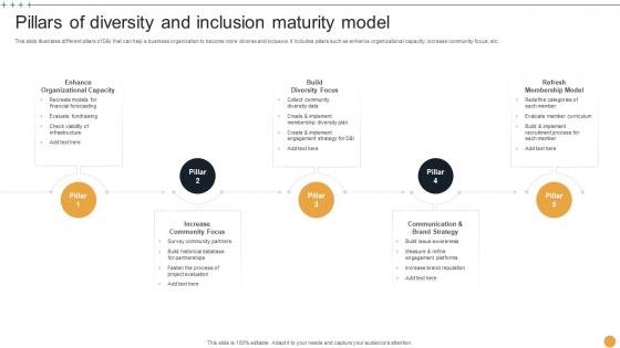 Pillars Of Diversity And Inclusion Maturity Model