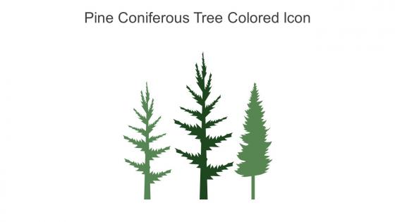 Pine Coniferous Tree Colored Icon In Powerpoint Pptx Png And Editable Eps Format