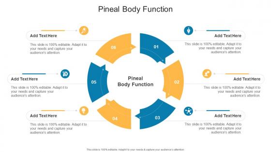 Pineal Body Function In Powerpoint And Google Slides Cpb
