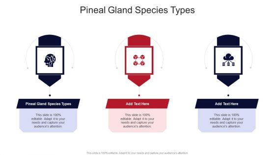 Pineal Gland Species Types In Powerpoint And Google Slides Cpb