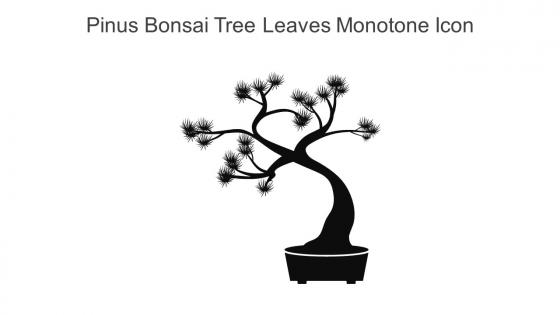 Pinus Bonsai Tree Leaves Monotone Icon In Powerpoint Pptx Png And Editable Eps Format