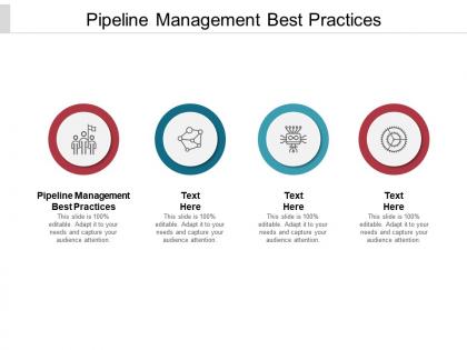 Pipeline management best practices ppt powerpoint presentation gallery graphics design cpb