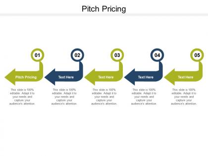 Pitch pricing ppt powerpoint presentation portfolio maker cpb