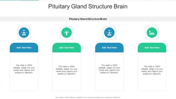 Pituitary Gland Structure Brain In Powerpoint And Google Slides Cpb