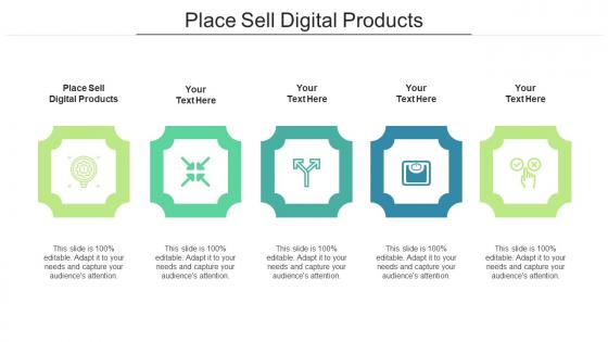 Place sell digital products ppt powerpoint presentation ideas show cpb