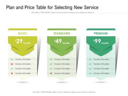 Plan and price table for selecting new service infographic template