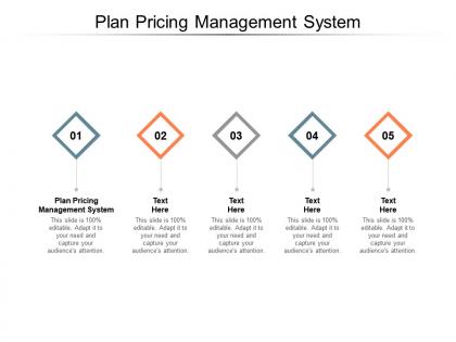 Plan pricing management system ppt powerpoint presentation template cpb