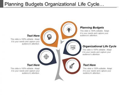 Planning budgets organizational life cycle personal business development