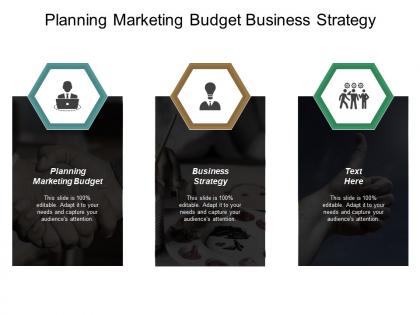 Planning marketing budget business strategy category management process cpb