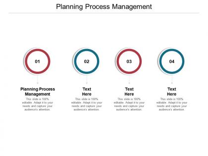 Planning process management ppt powerpoint presentation professional graphics cpb